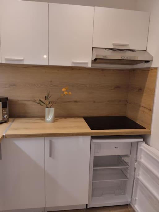Les Salenques Apartment Toulouse Exterior photo
